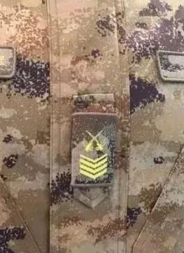 沧州大面外墙建议图案比例协调