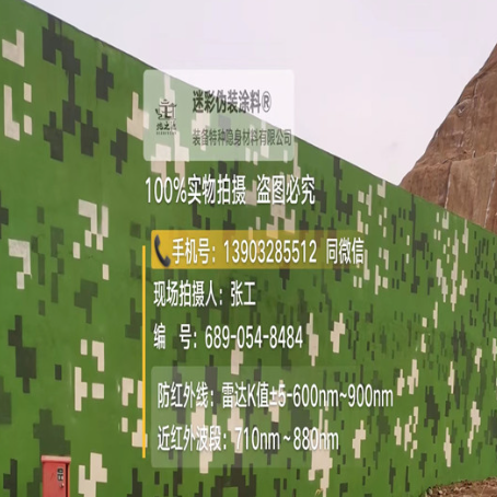 沧州专业承接园区围墙迷彩喷涂、